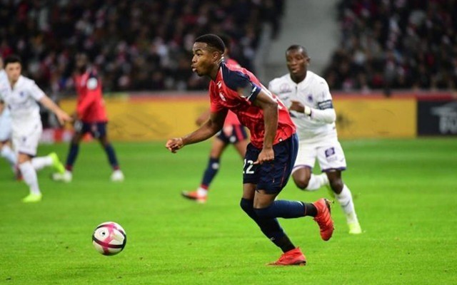 情与梦想的 情与梦想的